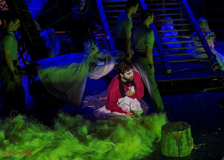 Florin Guzgă, Iași 2014 - (c) Dușa Ozolin