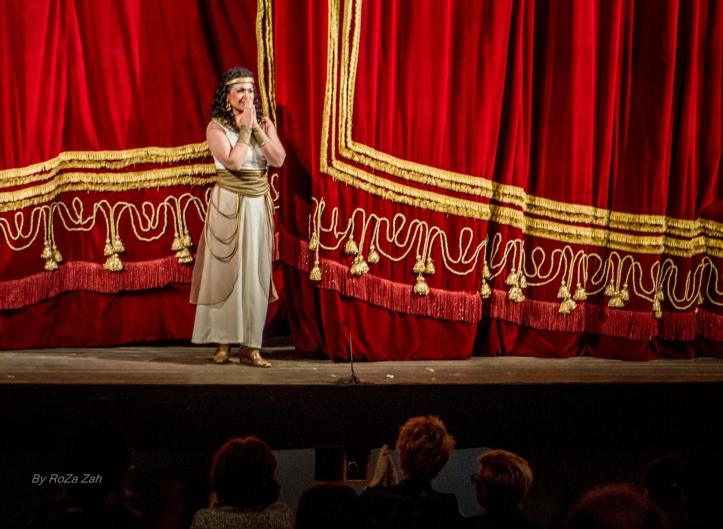 O superbă Cellia Costea, aseară în Aida de Verdi, la ONB. - Foto (c) Romeo Zaharia
